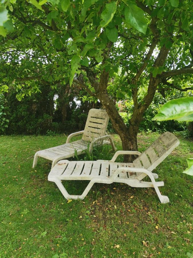 Appartement Ruhe Am Wald - Zentral Und Woerthersee *
