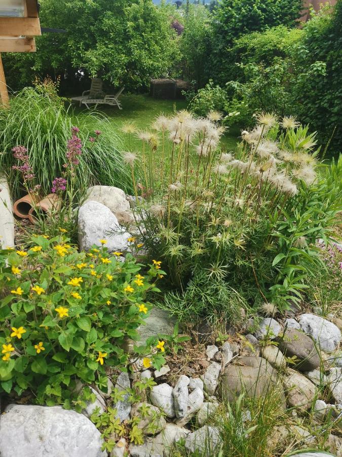 Ruhe Am Wald - Zentral Und Woerthersee Appartement *